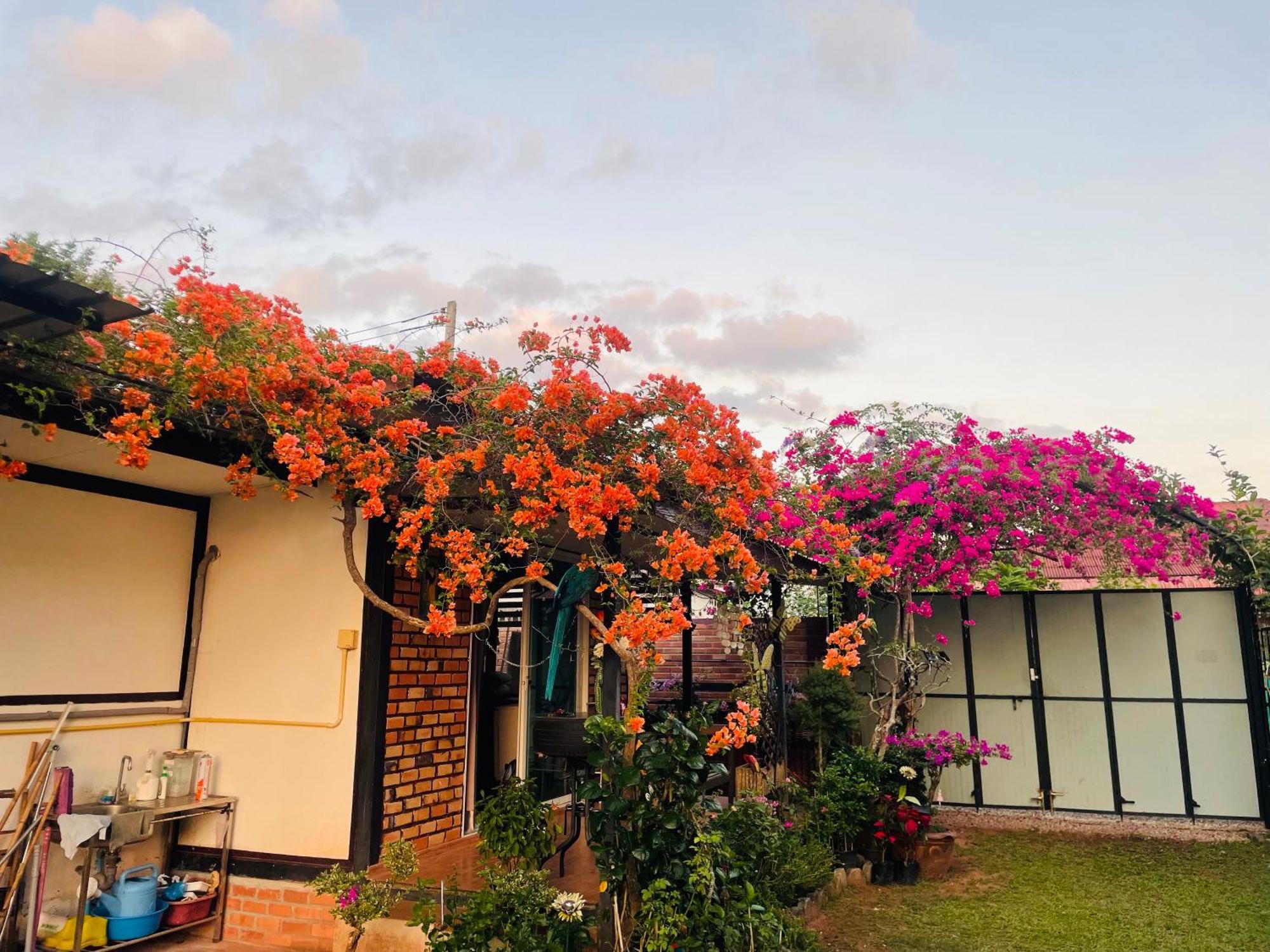 Krabilife Resort Kvang-sziget Kültér fotó
